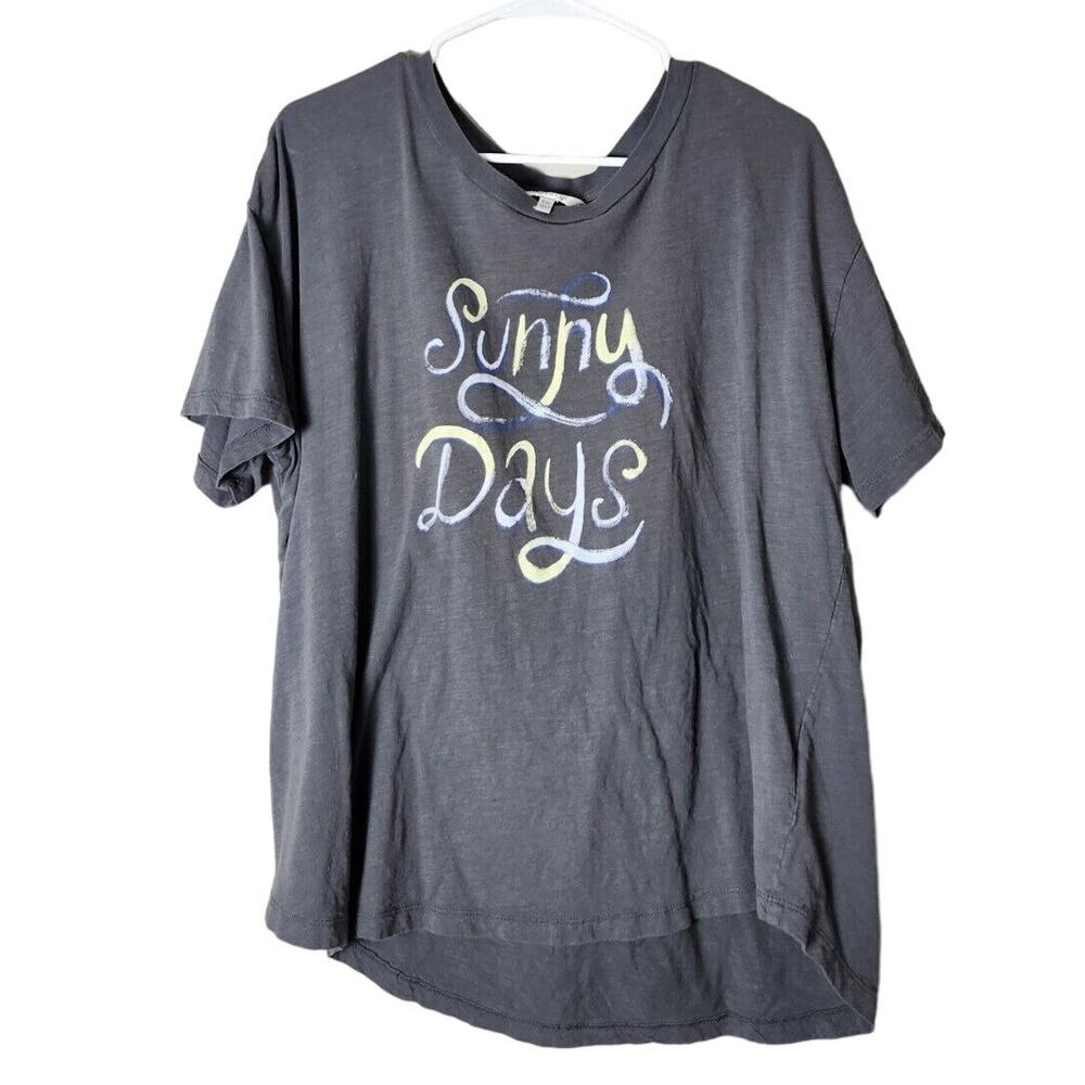 WildFox Graphic Tee T-Shirt Size XXL‎ Gray Sunny Days Short Sleeve